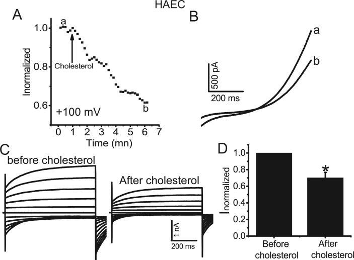 https://cdn.ncbi.nlm.nih.gov/pmc/blobs/b092/8020148/670c19a1aadb/gr5.jpg