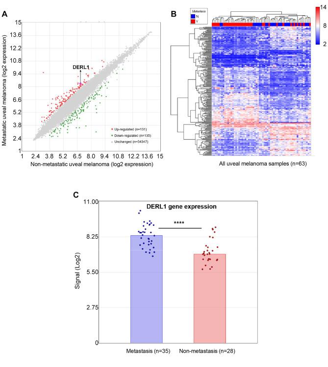 https://cdn.ncbi.nlm.nih.gov/pmc/blobs/b094/12402717/a3cafd497b05/cgp-22-814-g0001.jpg