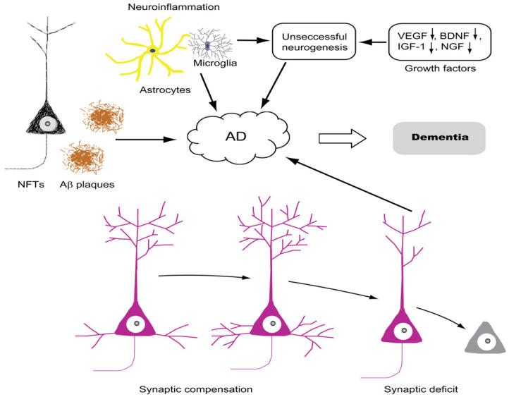 https://cdn.ncbi.nlm.nih.gov/pmc/blobs/b094/9599095/3d583a212544/biomolecules-12-01409-g002.jpg