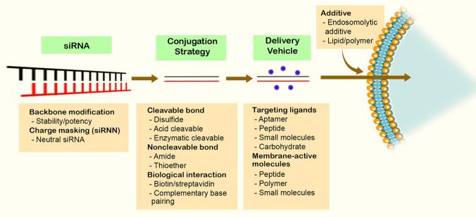 https://cdn.ncbi.nlm.nih.gov/pmc/blobs/b095/10040933/217a02d046b0/10555_2023_10099_Fig8_HTML.jpg