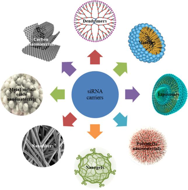 https://cdn.ncbi.nlm.nih.gov/pmc/blobs/b095/10040933/45a3fdb7d6f3/10555_2023_10099_Fig7_HTML.jpg
