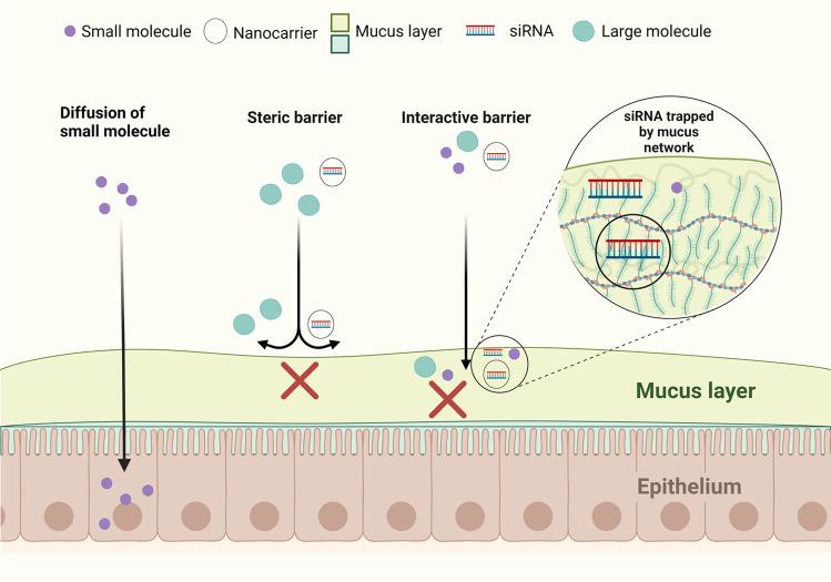 https://cdn.ncbi.nlm.nih.gov/pmc/blobs/b095/10040933/5521518805eb/10555_2023_10099_Fig4_HTML.jpg