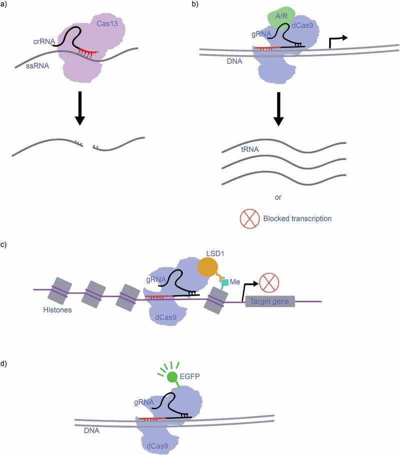 https://cdn.ncbi.nlm.nih.gov/pmc/blobs/b097/6067892/b877678a10e7/kbie-09-01-1470720-g002.jpg