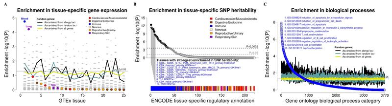 https://cdn.ncbi.nlm.nih.gov/pmc/blobs/b098/5989923/2e68b8db7dd5/emss-74439-f003.jpg
