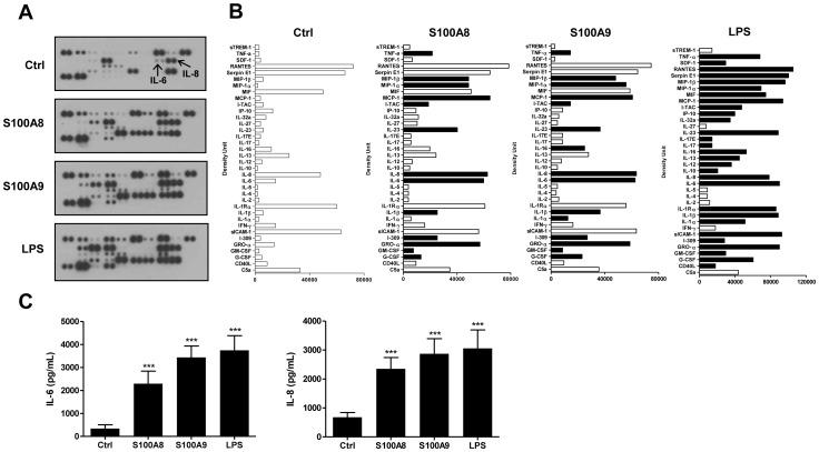 https://cdn.ncbi.nlm.nih.gov/pmc/blobs/b099/3747084/489de2cd55c7/pone.0072138.g001.jpg