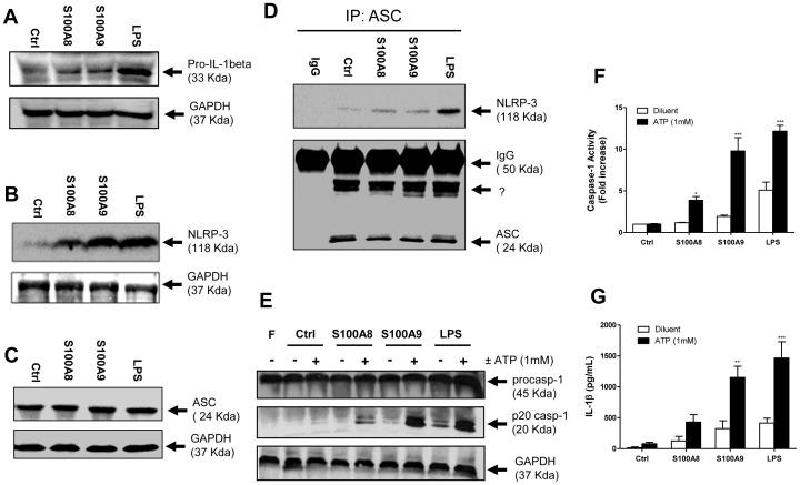 https://cdn.ncbi.nlm.nih.gov/pmc/blobs/b099/3747084/8c62ad5bc49b/pone.0072138.g006.jpg