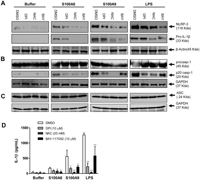 https://cdn.ncbi.nlm.nih.gov/pmc/blobs/b099/3747084/ea308297985e/pone.0072138.g008.jpg