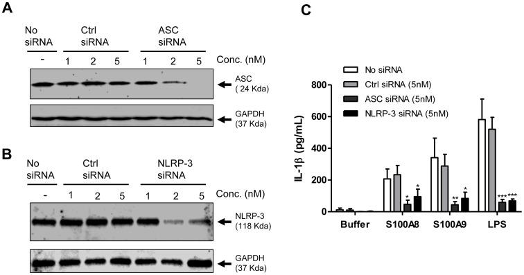 https://cdn.ncbi.nlm.nih.gov/pmc/blobs/b099/3747084/edaad97f7f07/pone.0072138.g007.jpg