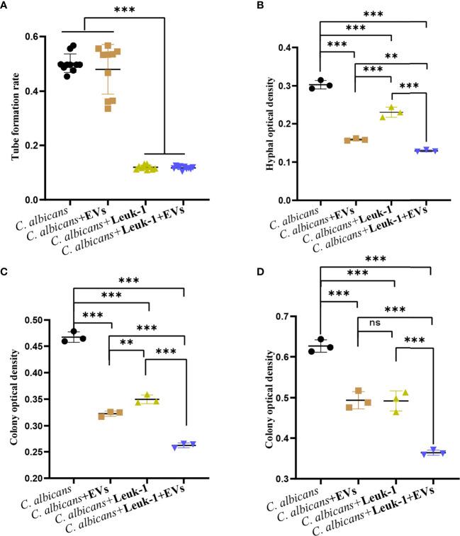 https://cdn.ncbi.nlm.nih.gov/pmc/blobs/b09a/9283572/42641bc7da3f/fimmu-13-777613-g007.jpg