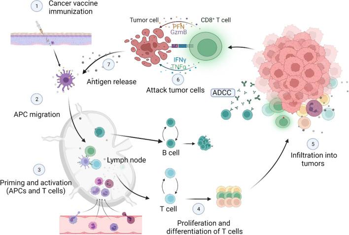 https://cdn.ncbi.nlm.nih.gov/pmc/blobs/b09b/8931973/bb0d423cd244/13045_2022_1247_Fig1_HTML.jpg