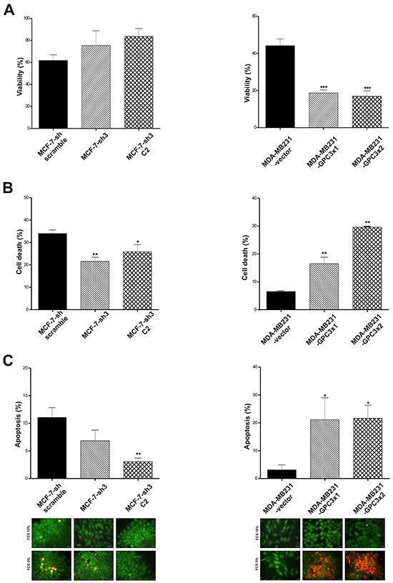 https://cdn.ncbi.nlm.nih.gov/pmc/blobs/b09c/5312374/31da5df09567/oncotarget-07-60133-g004.jpg