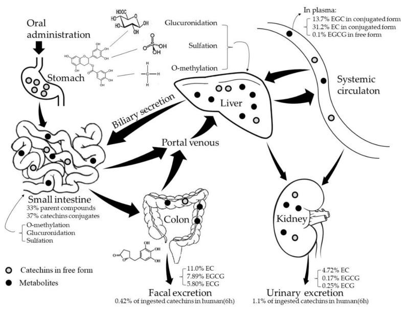 https://cdn.ncbi.nlm.nih.gov/pmc/blobs/b0a0/6225109/caa18781d861/molecules-23-02346-g001.jpg