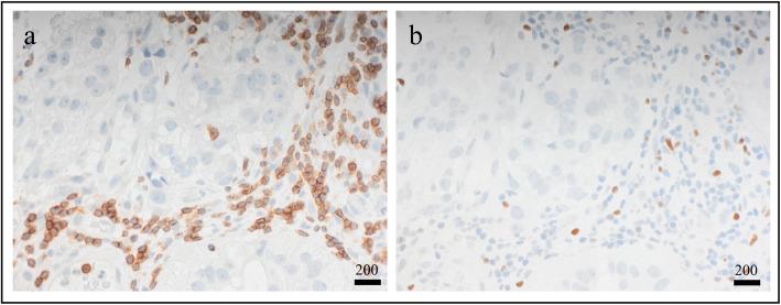 https://cdn.ncbi.nlm.nih.gov/pmc/blobs/b0a0/7893927/b8eafe543c67/13058_2021_1403_Fig4_HTML.jpg
