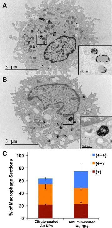 https://cdn.ncbi.nlm.nih.gov/pmc/blobs/b0a1/5663074/6b090f78f5b3/12989_2017_223_Fig7_HTML.jpg