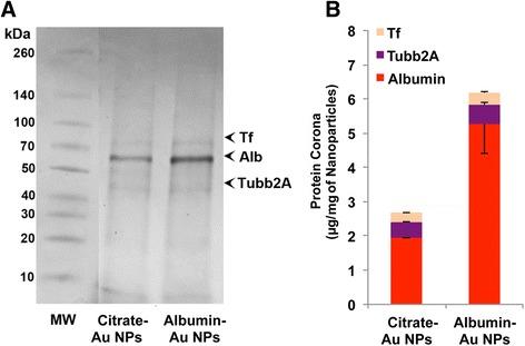 https://cdn.ncbi.nlm.nih.gov/pmc/blobs/b0a1/5663074/bfa0ec0ea271/12989_2017_223_Fig5_HTML.jpg