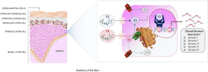 https://cdn.ncbi.nlm.nih.gov/pmc/blobs/b0a3/8285348/7a0b67bac4e1/40618_2020_1492_Fig1_HTML.jpg