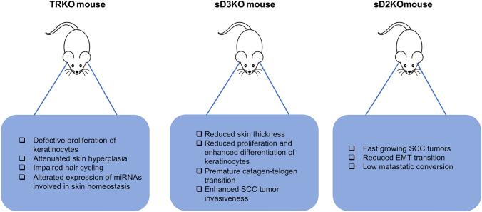 https://cdn.ncbi.nlm.nih.gov/pmc/blobs/b0a3/8285348/c6611e0c0446/40618_2020_1492_Fig2_HTML.jpg
