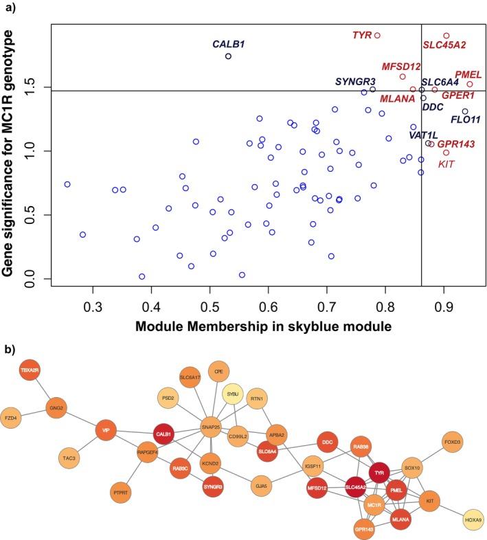 https://cdn.ncbi.nlm.nih.gov/pmc/blobs/b0a4/11799826/2b787d727da8/PCMR-38-0-g003.jpg