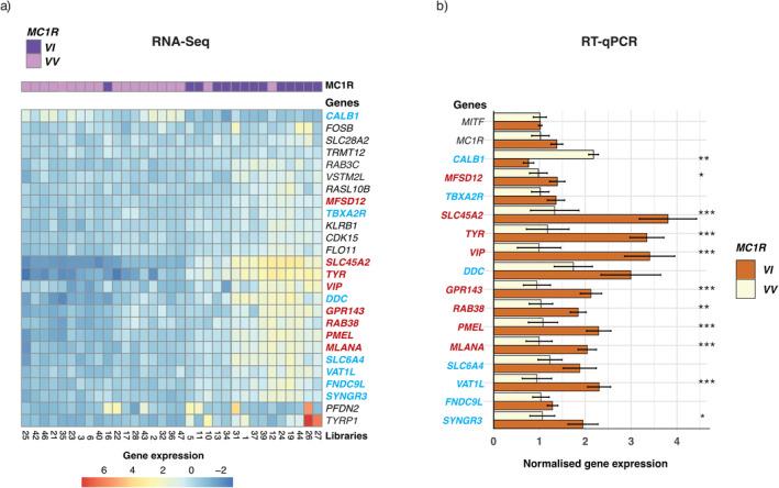 https://cdn.ncbi.nlm.nih.gov/pmc/blobs/b0a4/11799826/df3bf64ce3cc/PCMR-38-0-g002.jpg