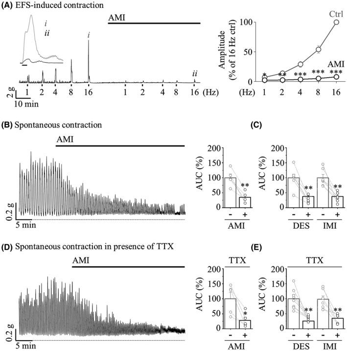 https://cdn.ncbi.nlm.nih.gov/pmc/blobs/b0a5/9549500/37678c9bd7ed/JCMM-26-4911-g006.jpg