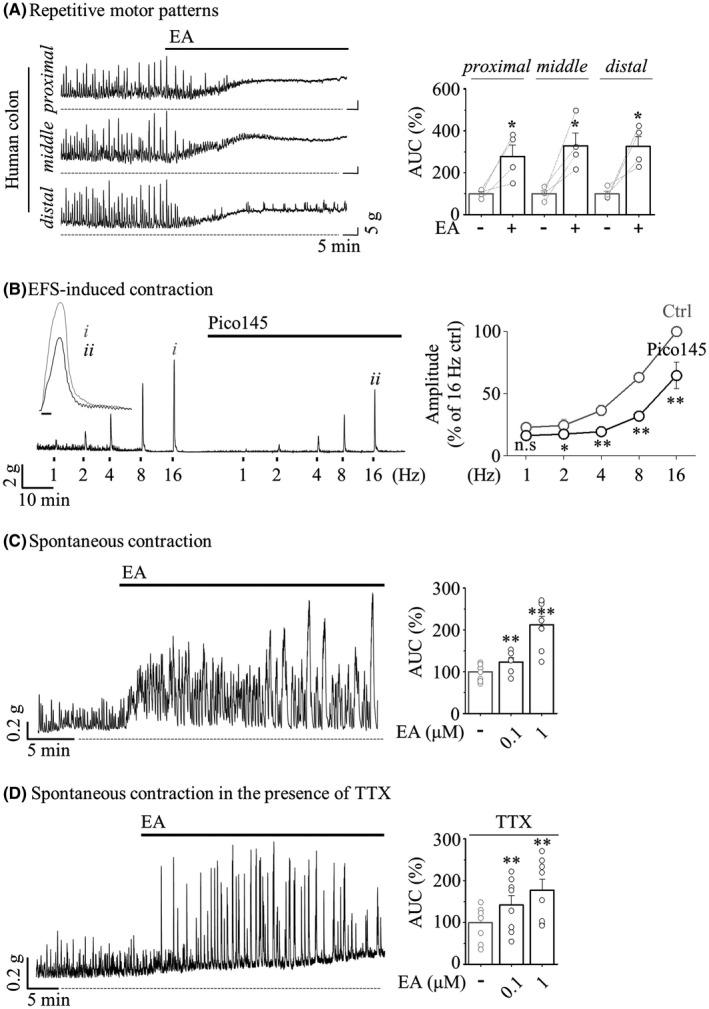 https://cdn.ncbi.nlm.nih.gov/pmc/blobs/b0a5/9549500/851a7e3f9bda/JCMM-26-4911-g004.jpg