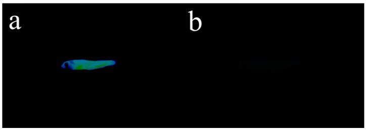 https://cdn.ncbi.nlm.nih.gov/pmc/blobs/b0a6/11118950/74f8ae065ad0/biosensors-14-00244-g010.jpg