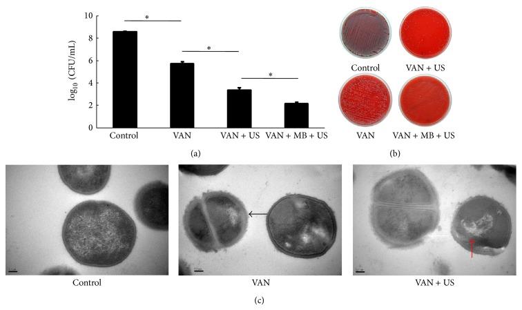 https://cdn.ncbi.nlm.nih.gov/pmc/blobs/b0a7/4302969/2da3ec12961f/BMRI2015-309739.003.jpg