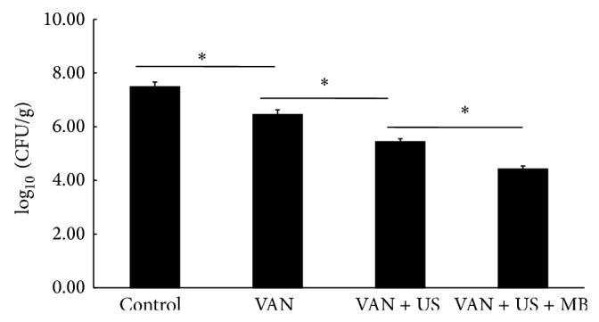 https://cdn.ncbi.nlm.nih.gov/pmc/blobs/b0a7/4302969/569794ebf2ab/BMRI2015-309739.004.jpg