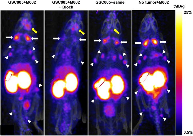 https://cdn.ncbi.nlm.nih.gov/pmc/blobs/b0aa/8319402/76c6d68cd2d9/41598_2021_94887_Fig2_HTML.jpg
