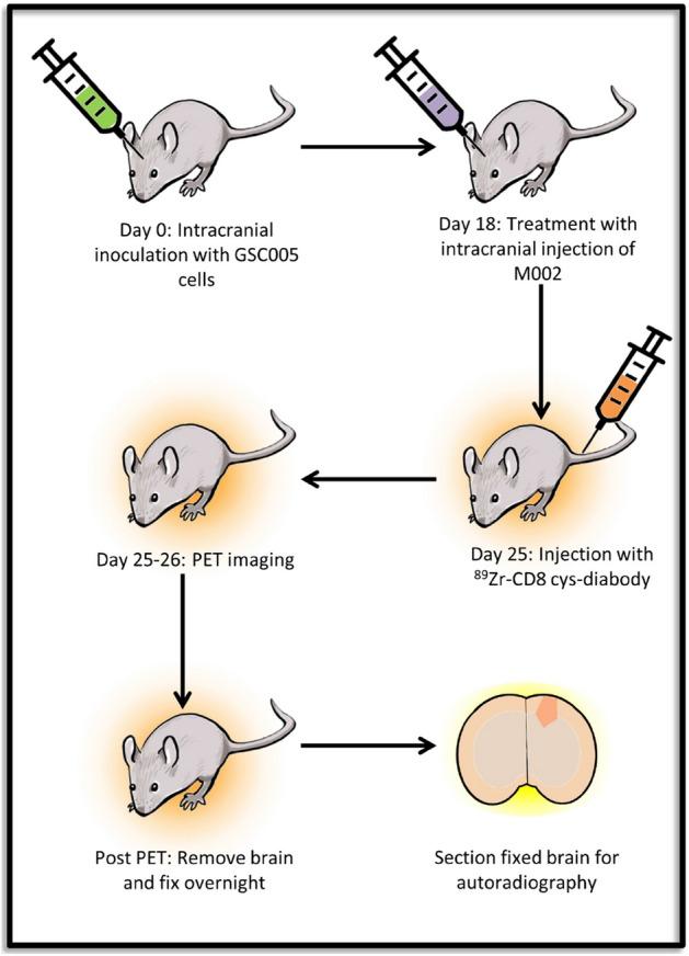 https://cdn.ncbi.nlm.nih.gov/pmc/blobs/b0aa/8319402/91da7a3b446c/41598_2021_94887_Fig1_HTML.jpg