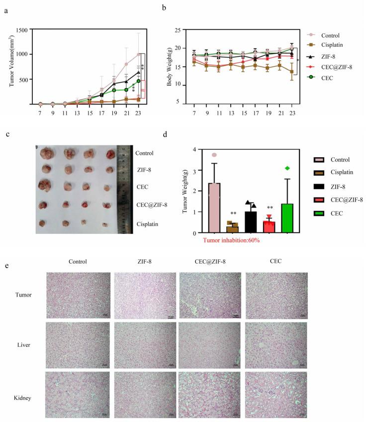https://cdn.ncbi.nlm.nih.gov/pmc/blobs/b0ab/11678129/aedb6bdf9249/pharmaceutics-16-01591-g008.jpg