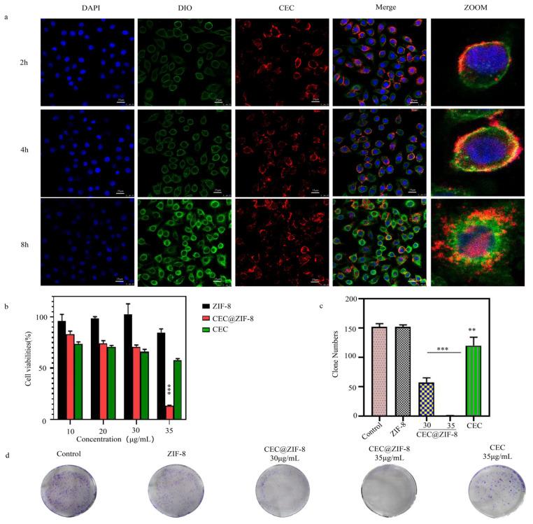 https://cdn.ncbi.nlm.nih.gov/pmc/blobs/b0ab/11678129/b0d55108c75a/pharmaceutics-16-01591-g003.jpg