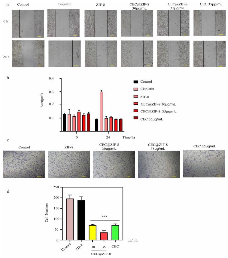 https://cdn.ncbi.nlm.nih.gov/pmc/blobs/b0ab/11678129/d8c6c2890736/pharmaceutics-16-01591-g007.jpg
