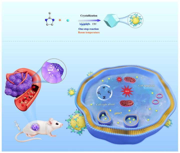 https://cdn.ncbi.nlm.nih.gov/pmc/blobs/b0ab/11678129/ea32e5777e70/pharmaceutics-16-01591-sch001.jpg