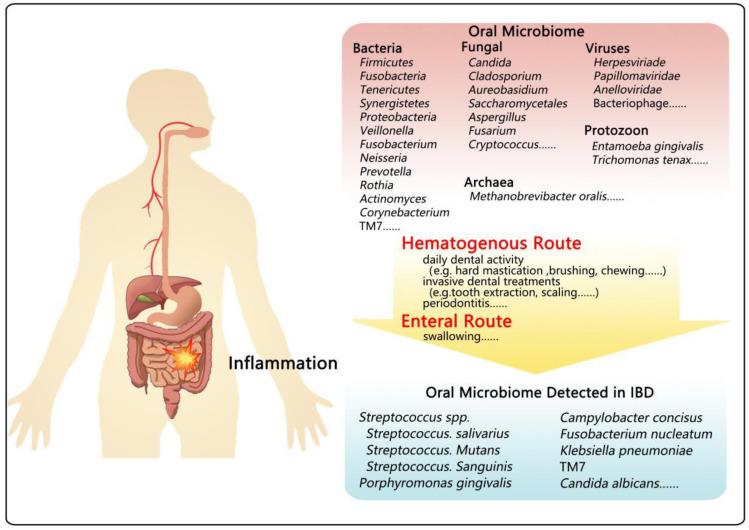 https://cdn.ncbi.nlm.nih.gov/pmc/blobs/b0ab/9505529/53b7a8c93082/microorganisms-10-01868-g001.jpg