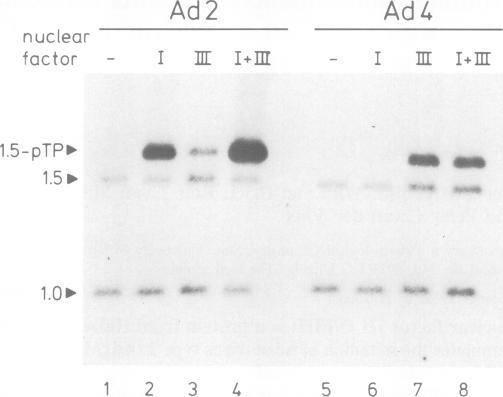 https://cdn.ncbi.nlm.nih.gov/pmc/blobs/b0ae/553848/a9c8e1f75bfe/emboj00252-0209-b.jpg