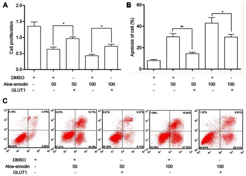 https://cdn.ncbi.nlm.nih.gov/pmc/blobs/b0af/6526183/357e74a92fcf/OTT-12-3713-g0006.jpg