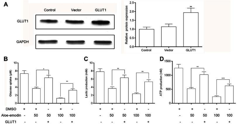 https://cdn.ncbi.nlm.nih.gov/pmc/blobs/b0af/6526183/b937c615c6ad/OTT-12-3713-g0005.jpg