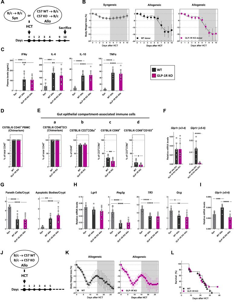 https://cdn.ncbi.nlm.nih.gov/pmc/blobs/b0b0/12414834/dd90263ce1d7/gr3.jpg
