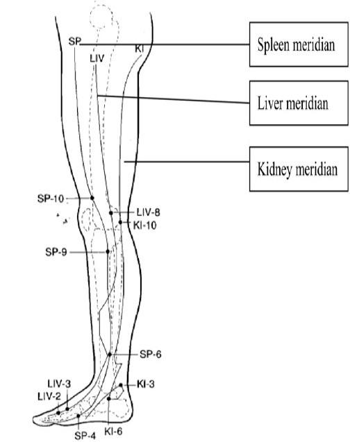 https://cdn.ncbi.nlm.nih.gov/pmc/blobs/b0b2/3583102/2d284d78e249/IJNMR-16-309-g001.jpg