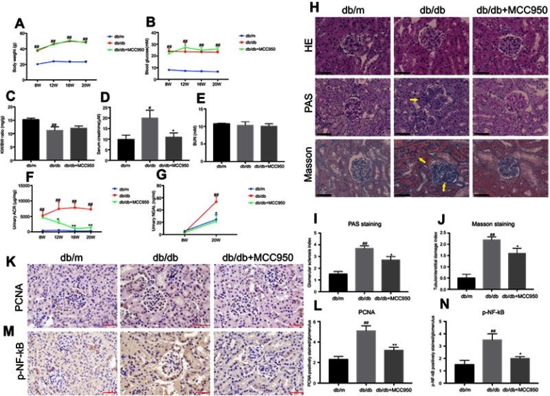 https://cdn.ncbi.nlm.nih.gov/pmc/blobs/b0b3/6684489/3ae9d8ebbf93/DMSO-12-1297-g0001.jpg