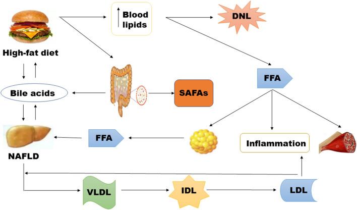 https://cdn.ncbi.nlm.nih.gov/pmc/blobs/b0b3/8314451/29821cddded0/13020_2021_470_Fig5_HTML.jpg