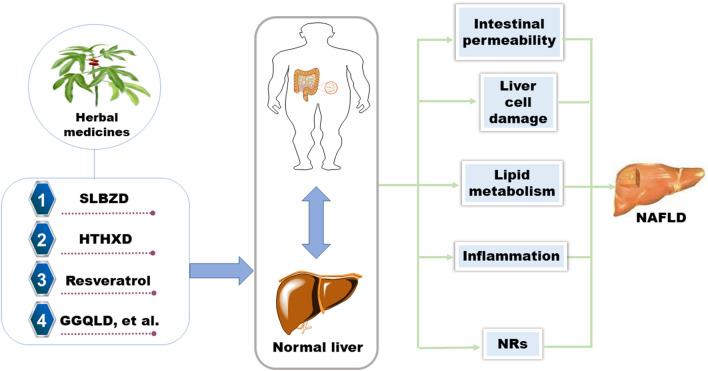 https://cdn.ncbi.nlm.nih.gov/pmc/blobs/b0b3/8314451/3574cdefdc5b/13020_2021_470_Fig6_HTML.jpg