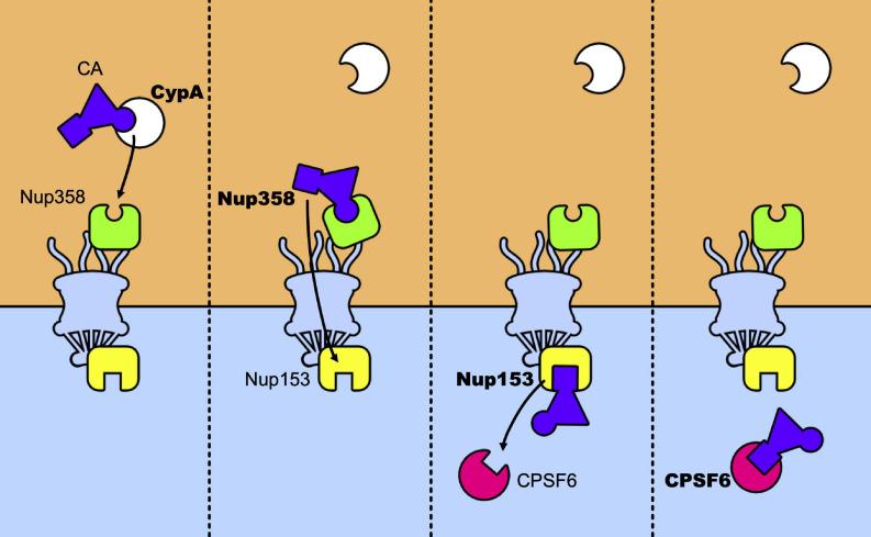 https://cdn.ncbi.nlm.nih.gov/pmc/blobs/b0b6/8046902/348483adbb81/fmicb-12-652486-g005.jpg