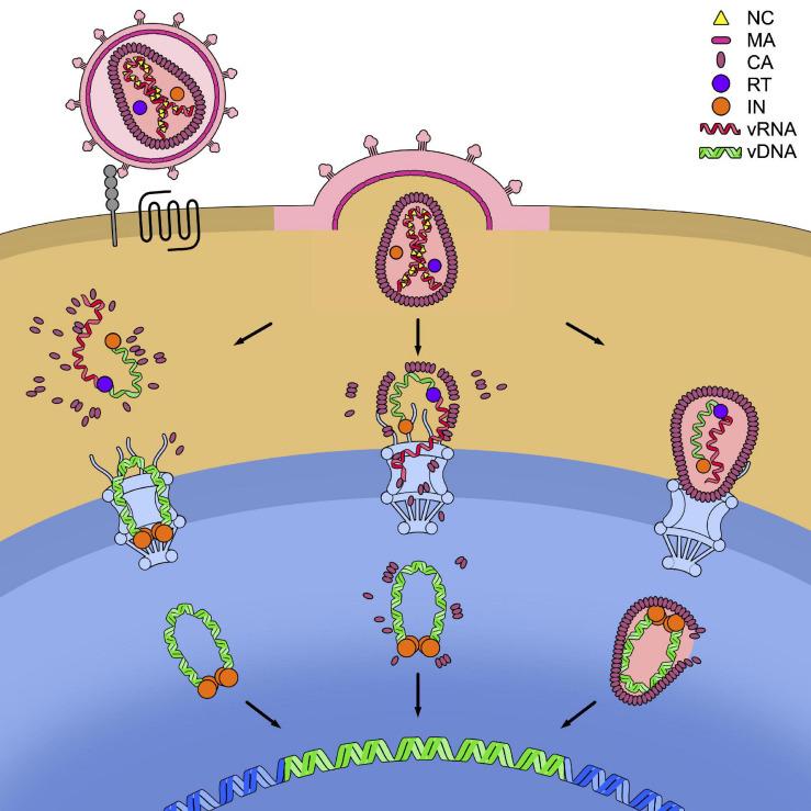 https://cdn.ncbi.nlm.nih.gov/pmc/blobs/b0b6/8046902/a98dfe4a91cd/fmicb-12-652486-g004.jpg