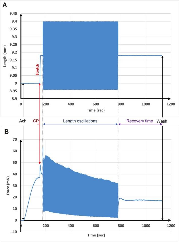 https://cdn.ncbi.nlm.nih.gov/pmc/blobs/b0b8/5269406/7ebc69c54a8a/PHY2-5-e13076-g003.jpg