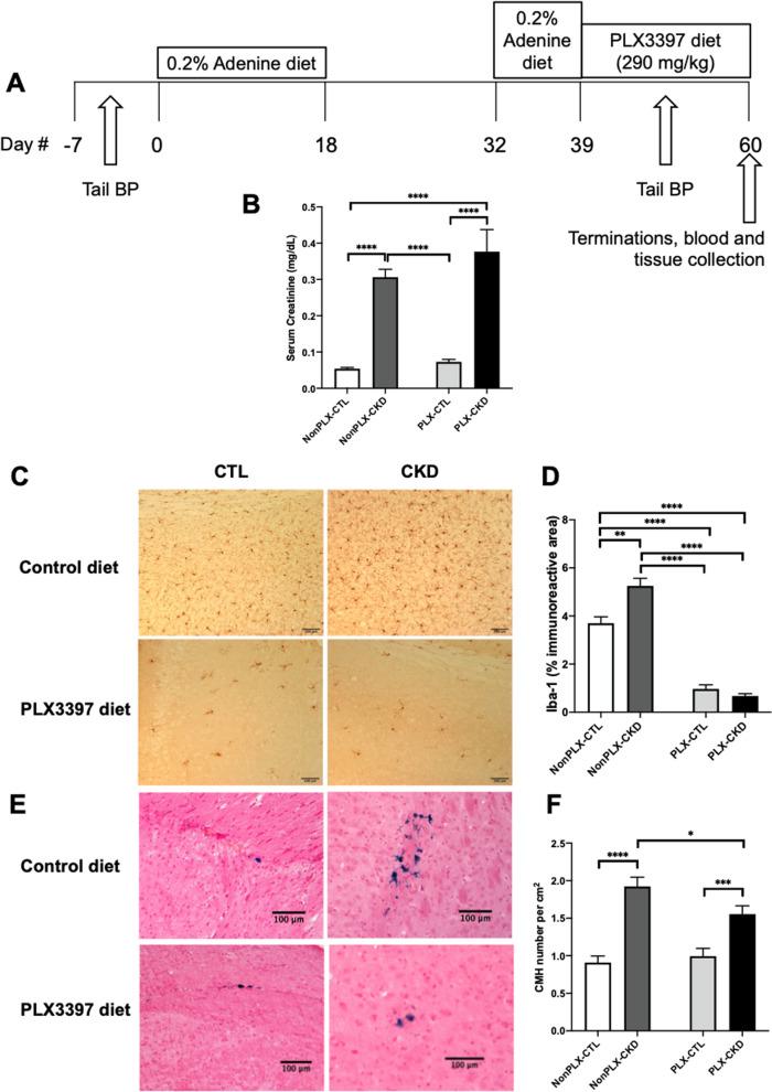 https://cdn.ncbi.nlm.nih.gov/pmc/blobs/b0bb/9960195/57b679a1537a/12974_2023_2703_Fig4_HTML.jpg