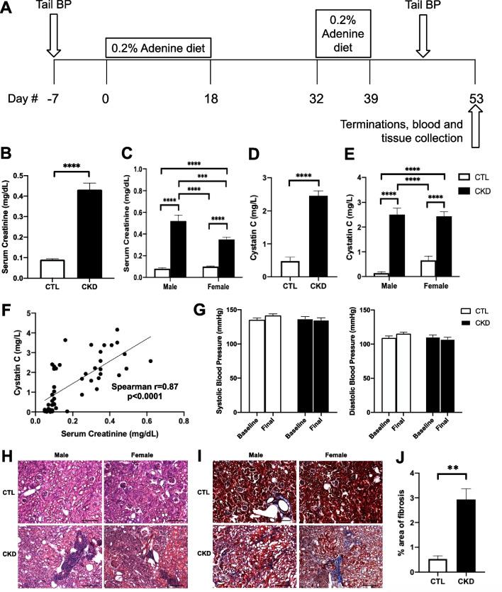 https://cdn.ncbi.nlm.nih.gov/pmc/blobs/b0bb/9960195/a49de3555749/12974_2023_2703_Fig1_HTML.jpg