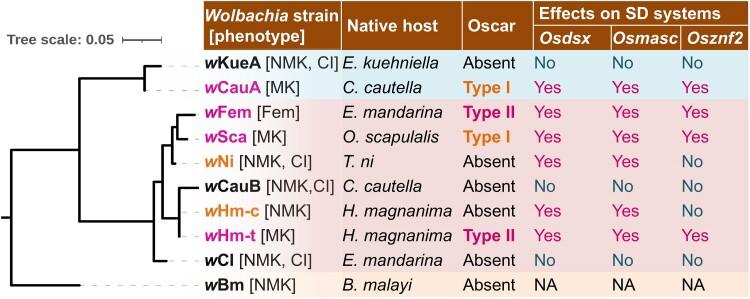 https://cdn.ncbi.nlm.nih.gov/pmc/blobs/b0be/11370894/b33988338713/pgae348f3.jpg