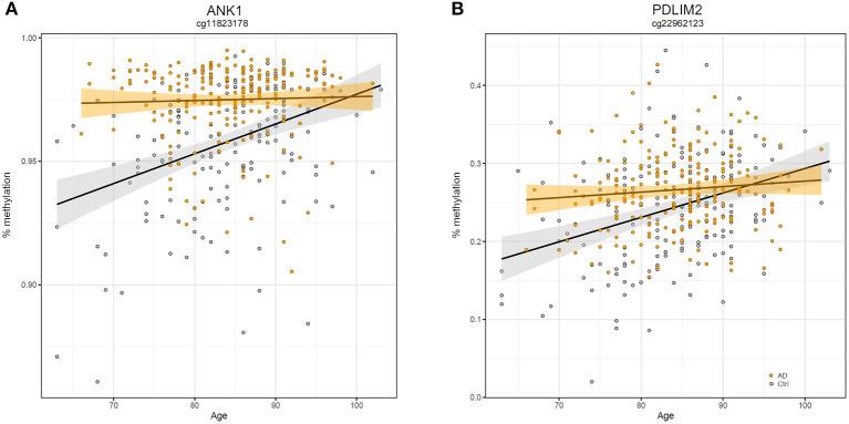 https://cdn.ncbi.nlm.nih.gov/pmc/blobs/b0c0/8006465/0006168ffa04/fnagi-13-639428-g0005.jpg